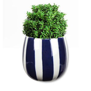 Striped Wall Bud Vase