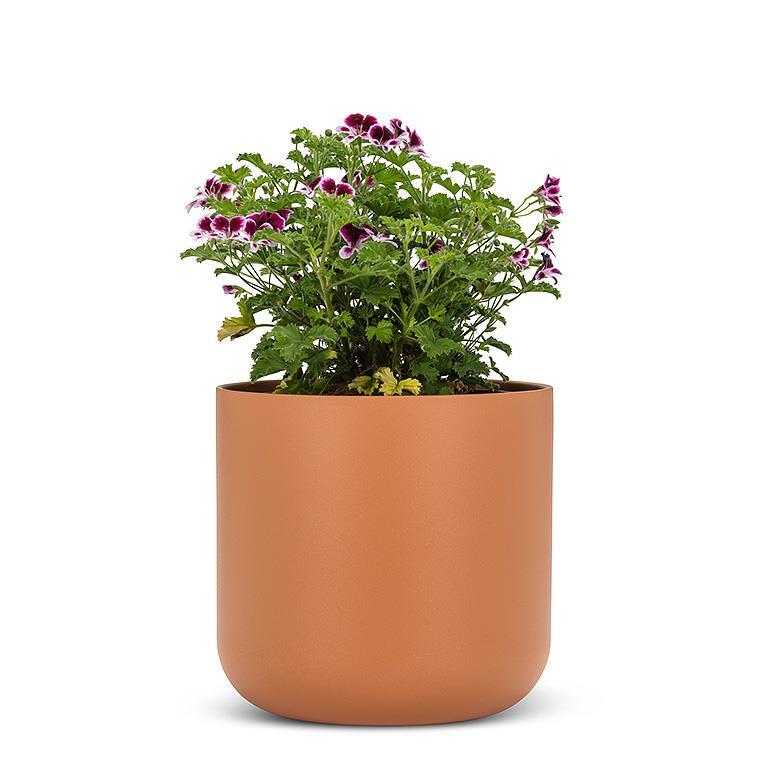 Classic Planter - Large