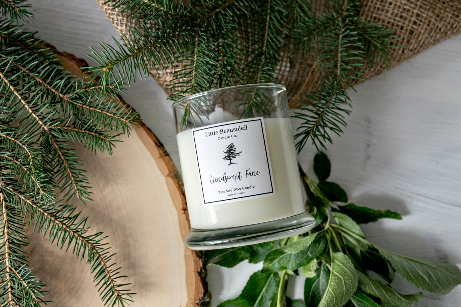 Windswept Pine 8oz Candle