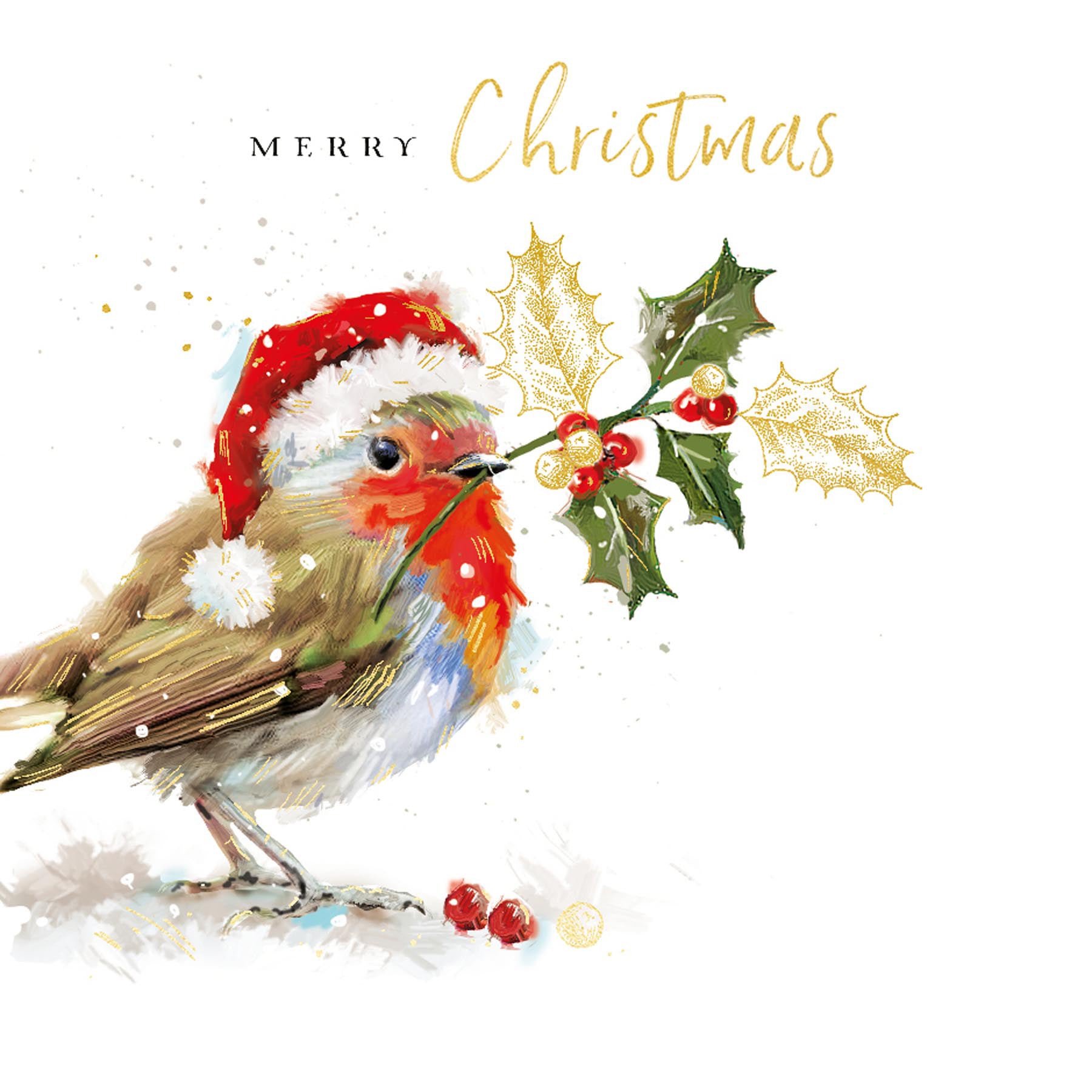 Christmas Robin Greeting Card