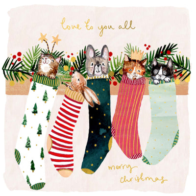 Animals in Stockings Greeting Card