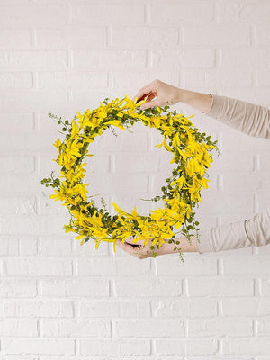 Forsythia Wreath - Large